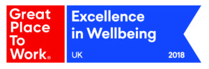 GPTW Excellence in Wellbeing 2018 CMYK 01 300x100 - A centre of Excellence in Wellbeing