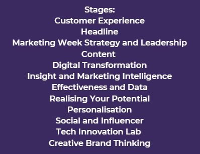 Festival of Marketing Stages